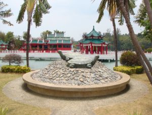Marble Tortoise in Kusu Island