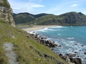 New Zeland Beaches