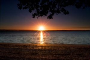 Beaches in Auckland