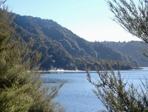 Lake Tarawera Hot Water Beach