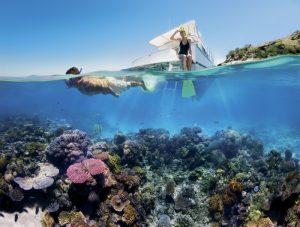 Snorkeling in Sir Bani Yas