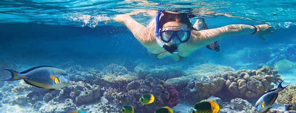 Snorkeling in Sri Lanka