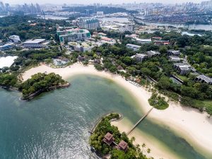By Marco Verch from Cologne, Germany (Palawan Beach) [CC BY 2.0 (https://creativecommons.org/licenses/by/2.0)], via Wikimedia Commons | Image Credit - Marco Verch from Cologne, Germany, CC BY-SA 2.0 via Wikipedia CommonsMarco Verch from Cologne, Germany