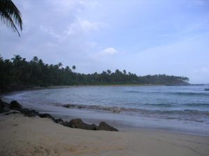 Beach | Soman at English Wikipedia [Public domain], via Wikimedia Commons