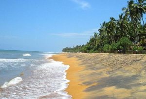 calido beach kalutara