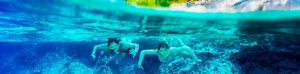 Snorkelling in the Paradise