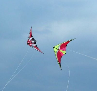 Kites 