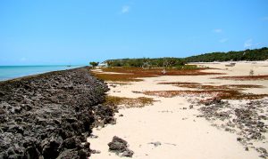 Bazaruto Island