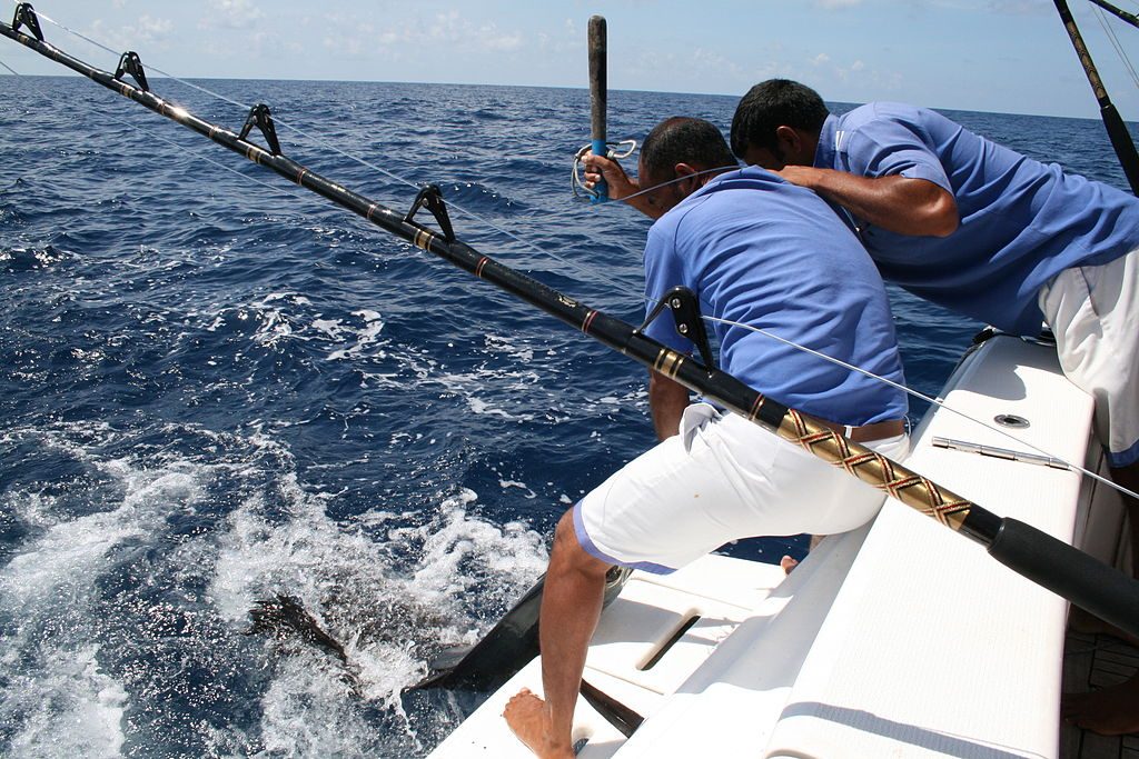 Maldives Fishing 