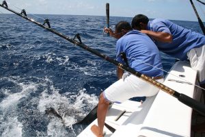 Maldives Fishing