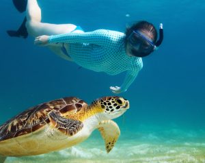 snorkeling maldives