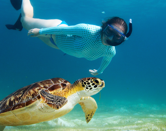 snorkeling maldives