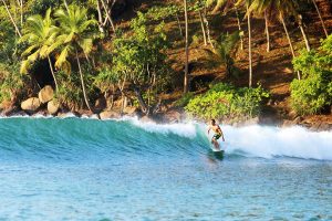 Surfing