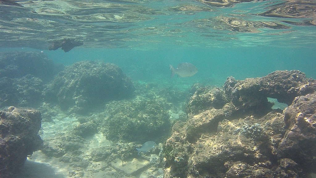 Hikkaduwa under water