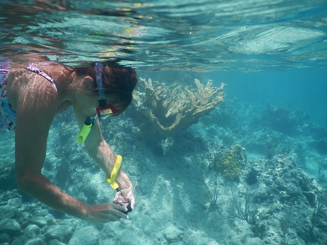 snorkelling