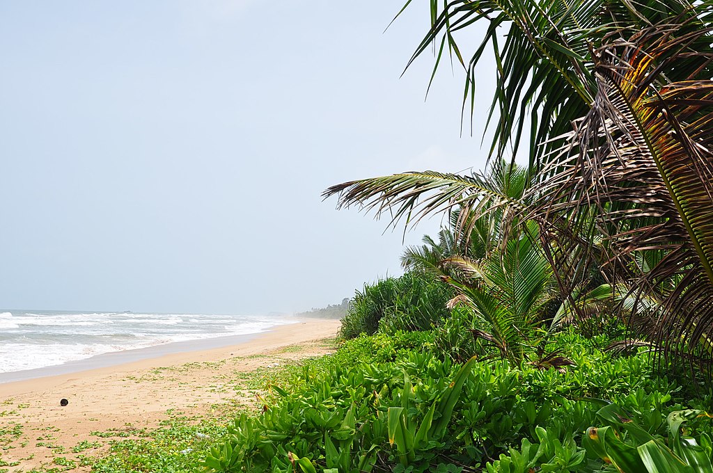 Beach View