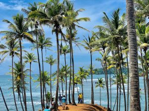 Coconut Tree Hills in Mirissa