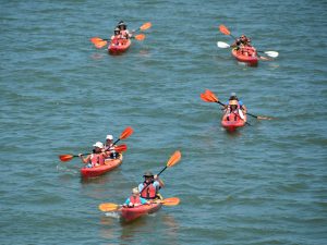 Kayaking in Jumeirah Bay