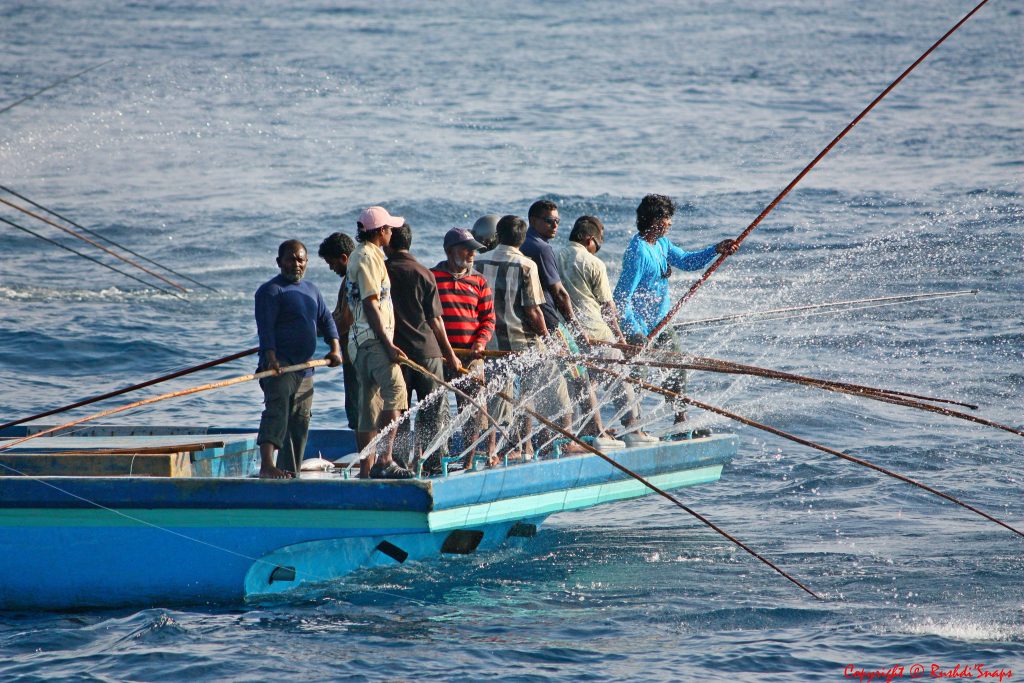 Fishing in Maldives 