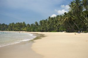Mirissa Beach