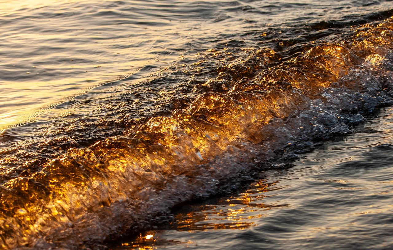 wave