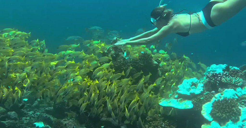 Underwater scenary in Maldives
